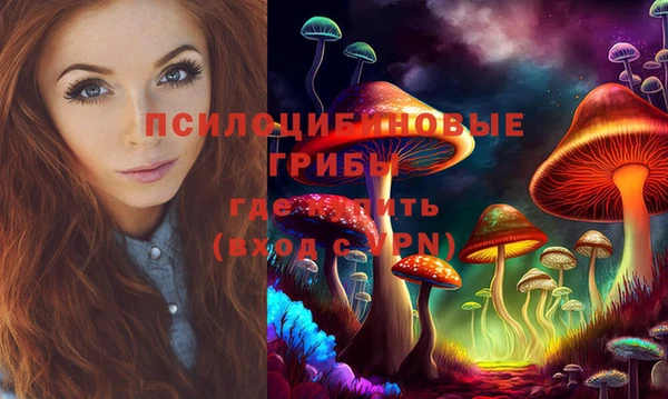 тгк Бронницы