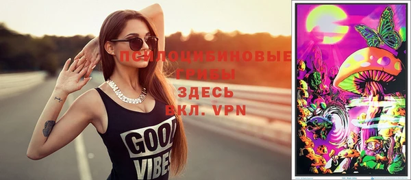 герыч Бородино