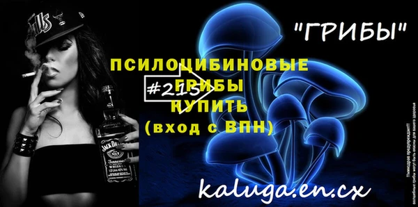 тгк Бронницы