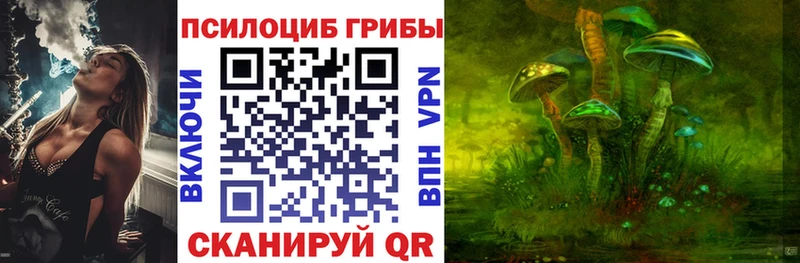 купить  сайты  Северск  Галлюциногенные грибы прущие грибы 